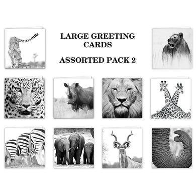 Special Pack 2 - Large Greeting Cards - 10 Assorted