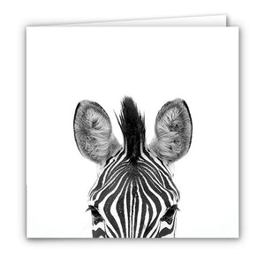 Special Pack 1 -Small Greeting Cards - 10 Assorted