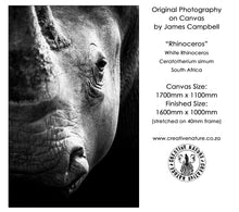 Large Format Canvas - Rhinoceros