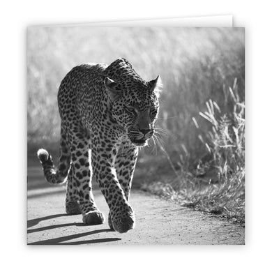 Large Greeting Card GC109 Leopard