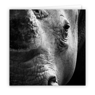 Large Greeting Card GC129 White Rhinoceros