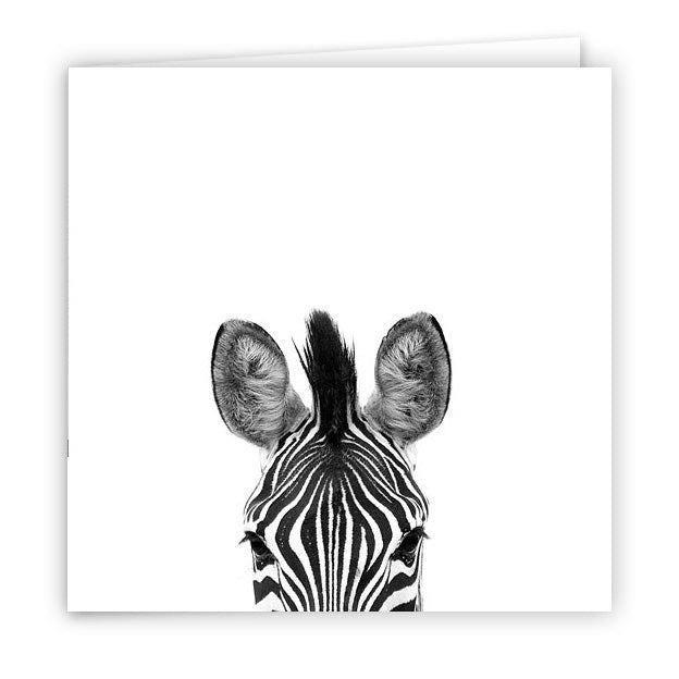 Large Greeting Card GC130 Zebra