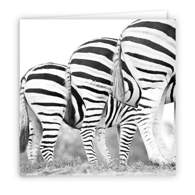 Large Greeting Card GC137 Zebra