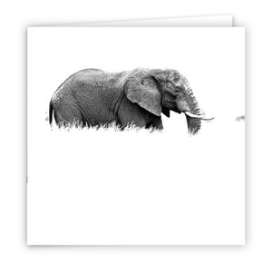 Large Greeting Card GC138 African Elephant