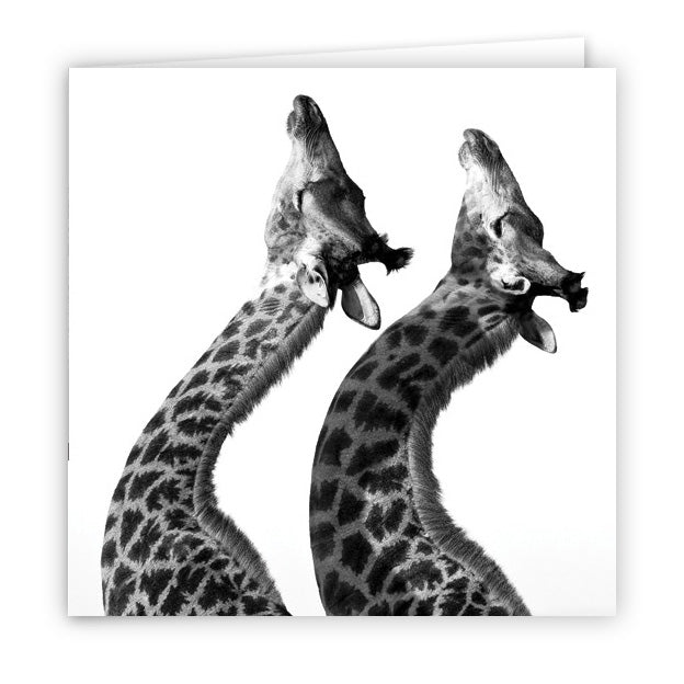Large Greeting Card GC139 Giraffe
