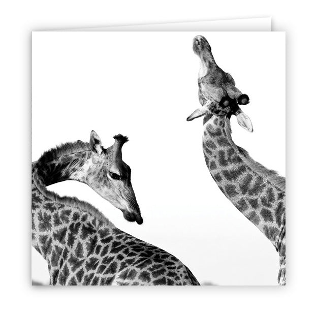 Large Greeting Card GC140 Giraffe