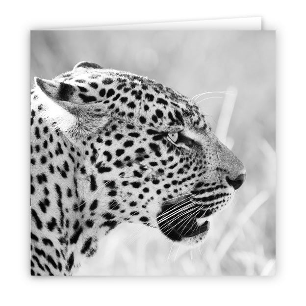 Large Greeting Card GC144 Leopard