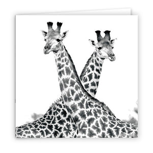 Large Greeting Card GC166 Giraffe