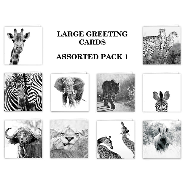 Special Pack 1 - Large Greeting Cards - 10 Assorted