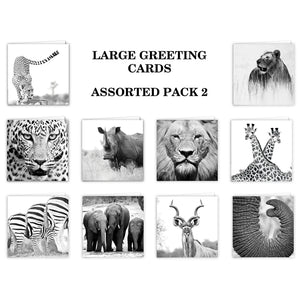 Special Pack 2 - Large Greeting Cards - 10 Assorted