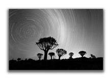 Large Format Canvas - Quiver Trees and Star Trails