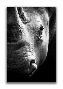 Large Format Canvas - Rhinoceros