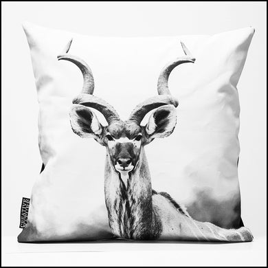 Cushion Cover SC BW 02 Kudu