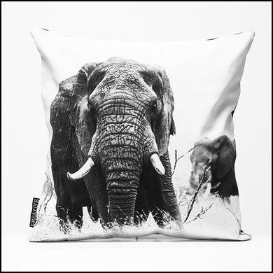 Cushion Cover SC BW 12 African Elephant