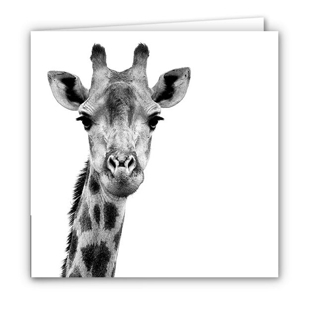 Small Greeting Card SGC100 Giraffe