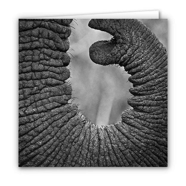 Small Greeting Card SGC101 Elephant