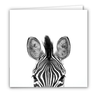 Small Greeting Card SGC102 Zebra