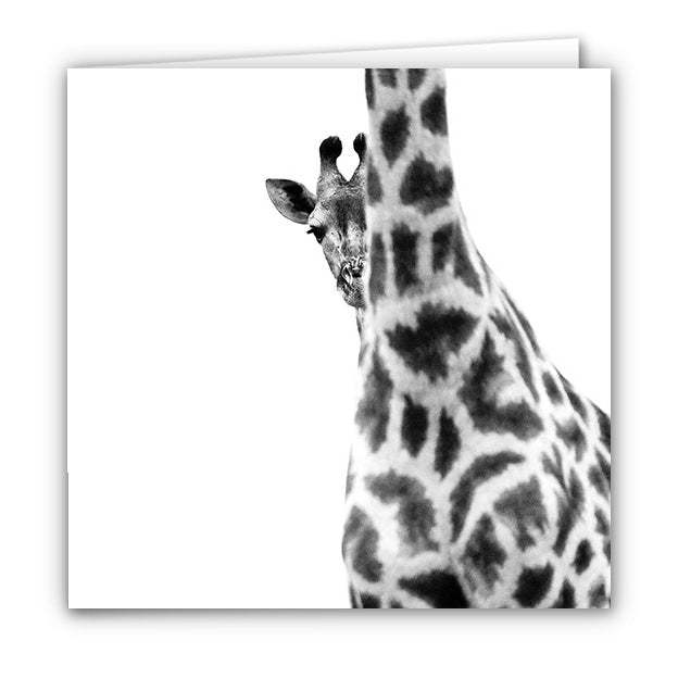 Small Greeting Card SGC109 Giraffe
