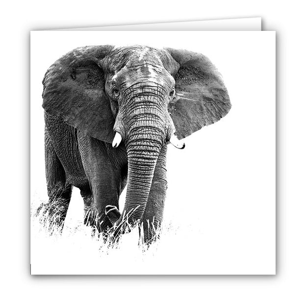 Small Greeting Card SGC118 Elephant