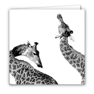 Small Greeting Card SGC125 Giraffe