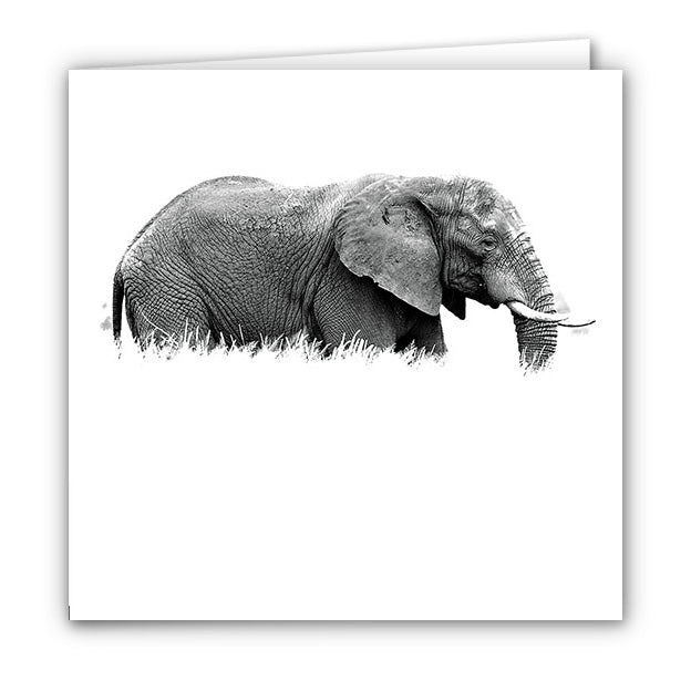 Small Greeting Card SGC126 Elephant