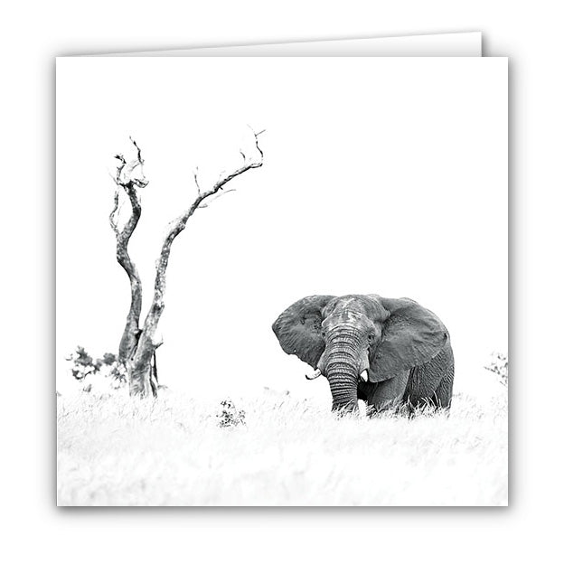 Small Greeting Card SGC138 Elephant