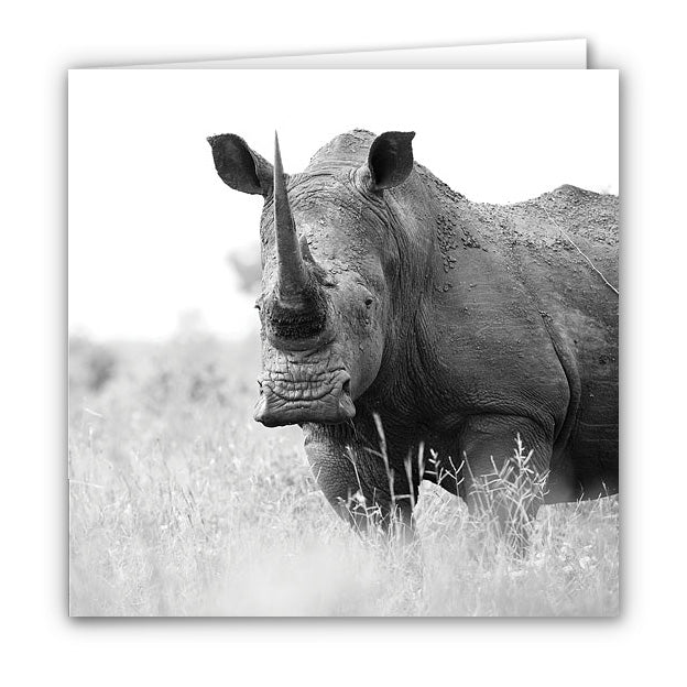 Small Greeting Card SGC143 White Rhinoceros