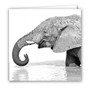 Small Greeting Card SGC144 Elephant