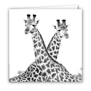 Small Greeting Card SGC153 Giraffe