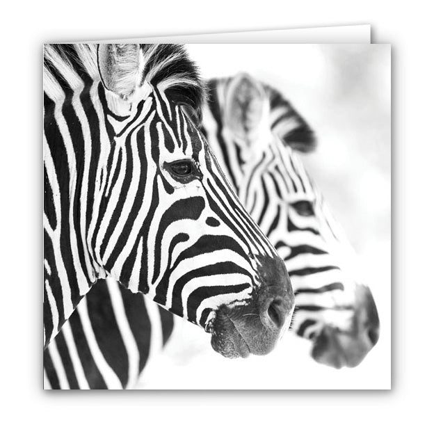 Small Greeting Card SGC154 Zebra