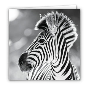 Small Greeting Card SGC155 Zebra