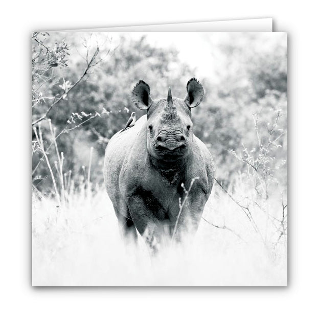 Small Greeting Card SGC158 Black Rhinoceros