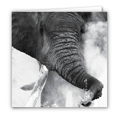 Small Greeting Card SGC166 Elephant