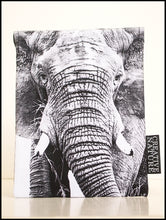 Tablet Cover BW07 Elephant