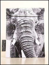 Tablet Cover BW07 Elephant